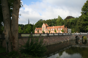 gebouw van het laathof met boom op voorgrond en kerktoren die opduikt tussen de bomen